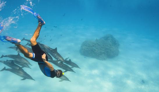 Croisière apnée et snorkeling en mer Rouge avec Morgan Bourc'his
